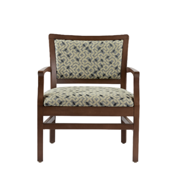 Dana Bariatric Armchair