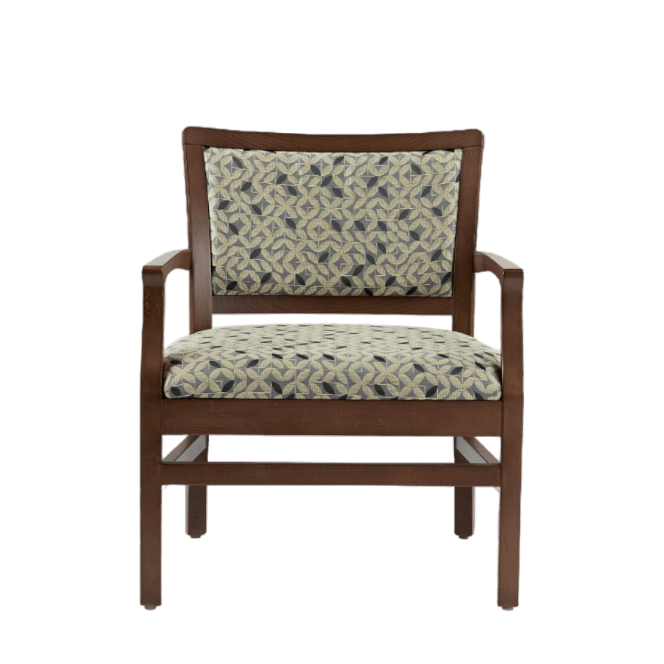 Dana Bariatric Armchair