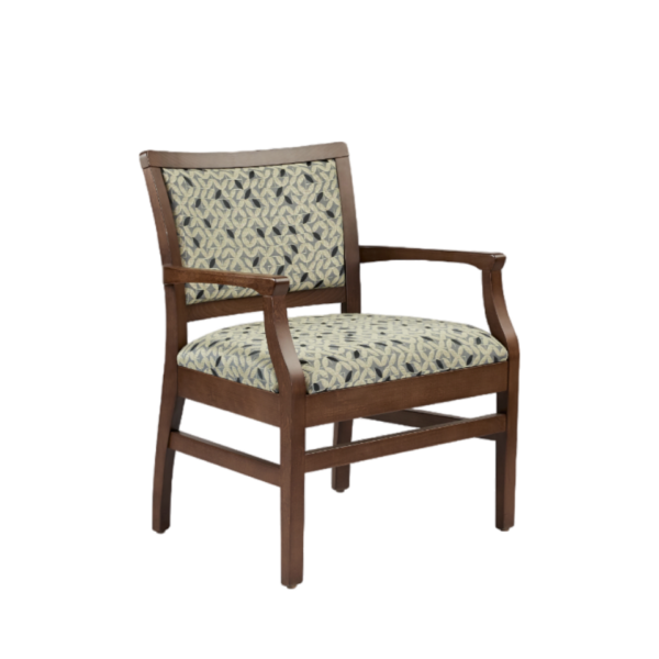 Dana Bariatric Armchair