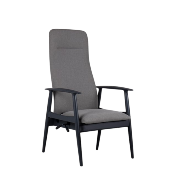 Sandal Back Only Recliner
