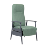 Sandal Electric Recliner