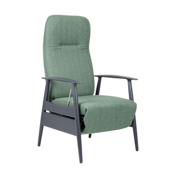 Sandal Electric Recliner