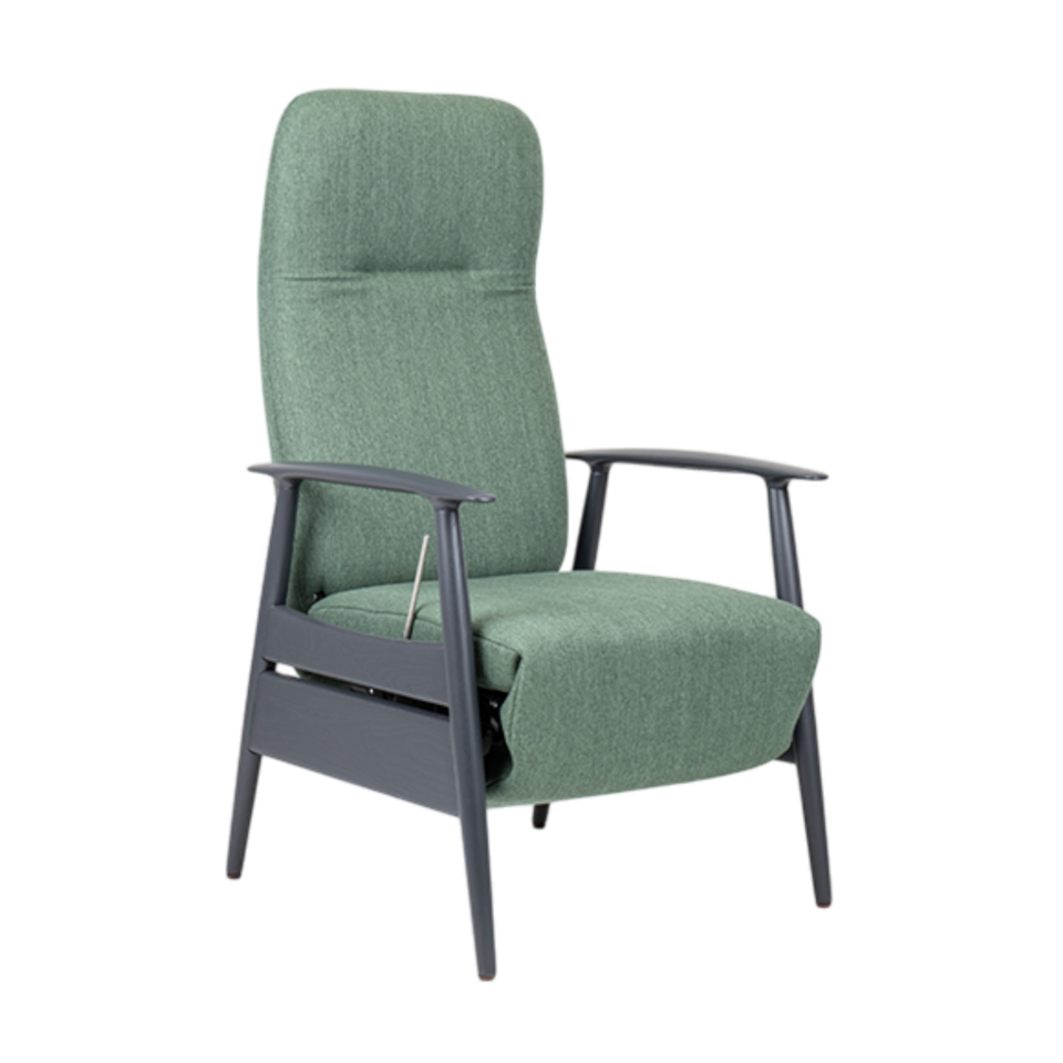 Sandal Electric Recliner