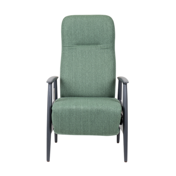 Sandal Electric Recliner