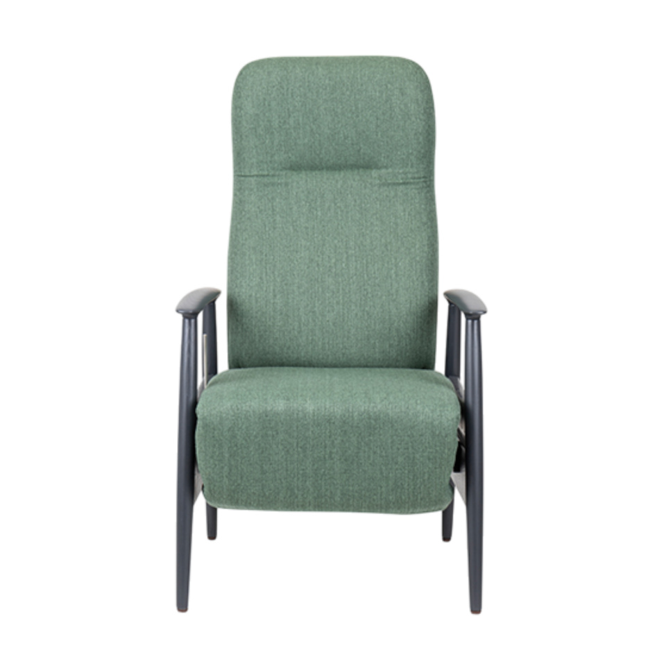 Sandal Electric Recliner