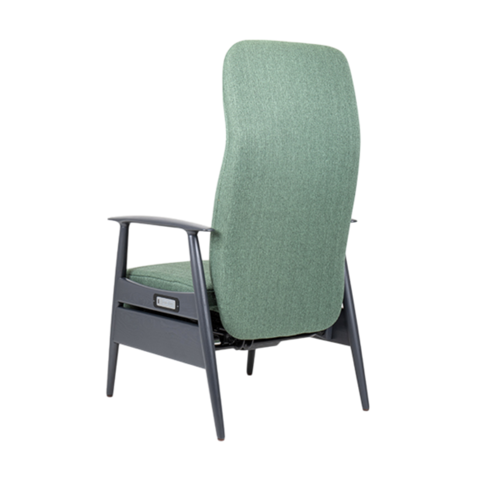 Sandal Electric Recliner