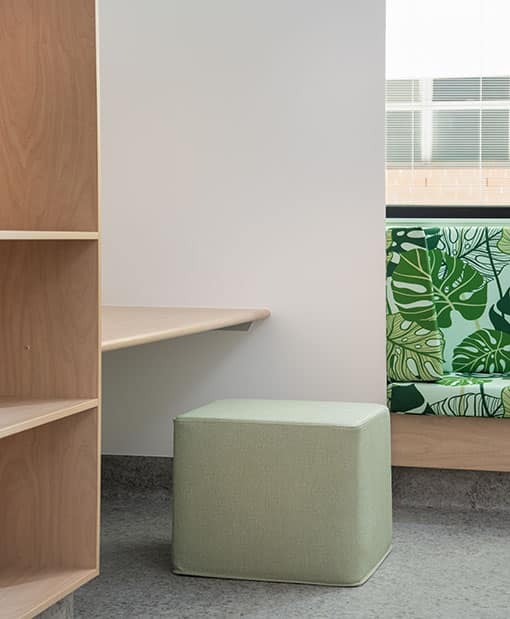 Project Portrait Image – Cairns Mental Health Unit 1