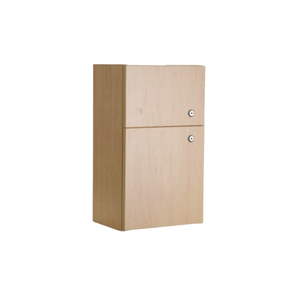 Guardian Medicine Cabinet