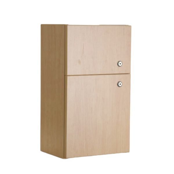 Guardian Medicine Cabinet