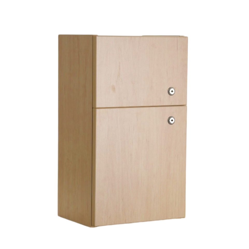 Guardian Medicine Cabinet