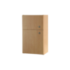 Guardian Medicine Cabinet