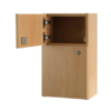 Guardian Medicine Cabinet