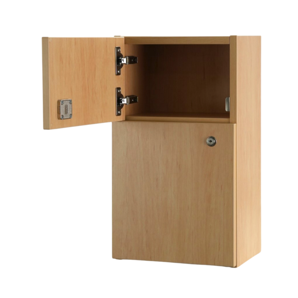 Guardian Medicine Cabinet