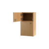 Guardian Medicine Cabinet