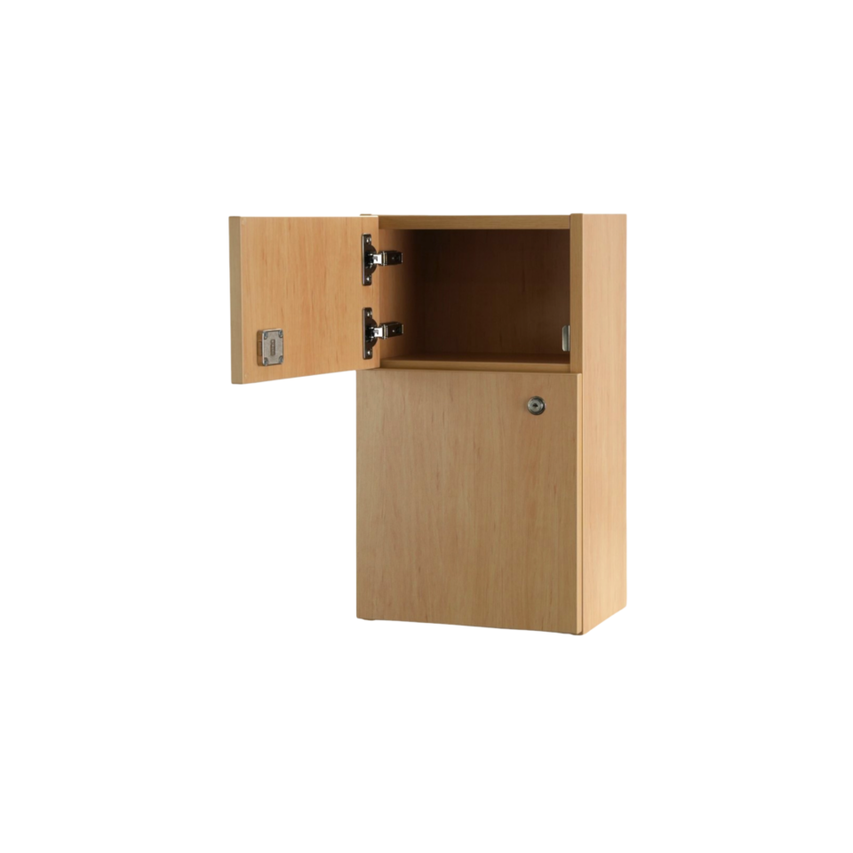 Guardian Medicine Cabinet