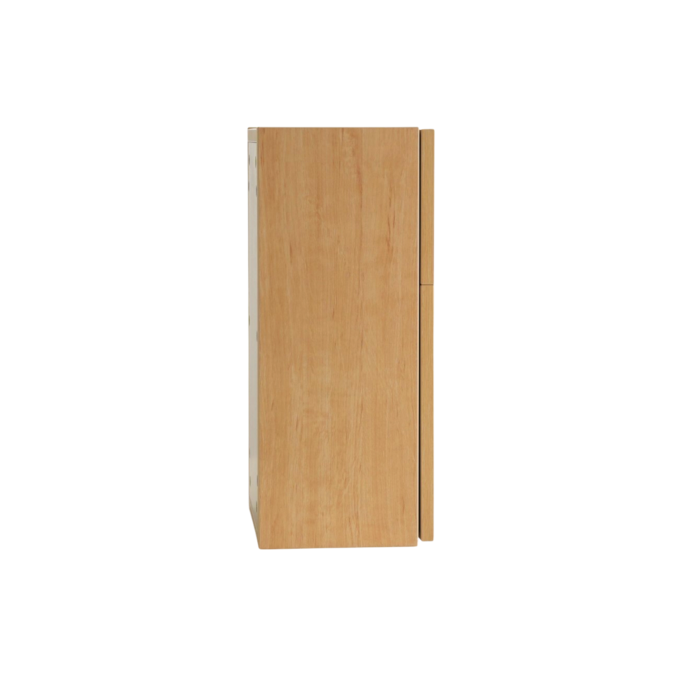 Guardian Medicine Cabinet
