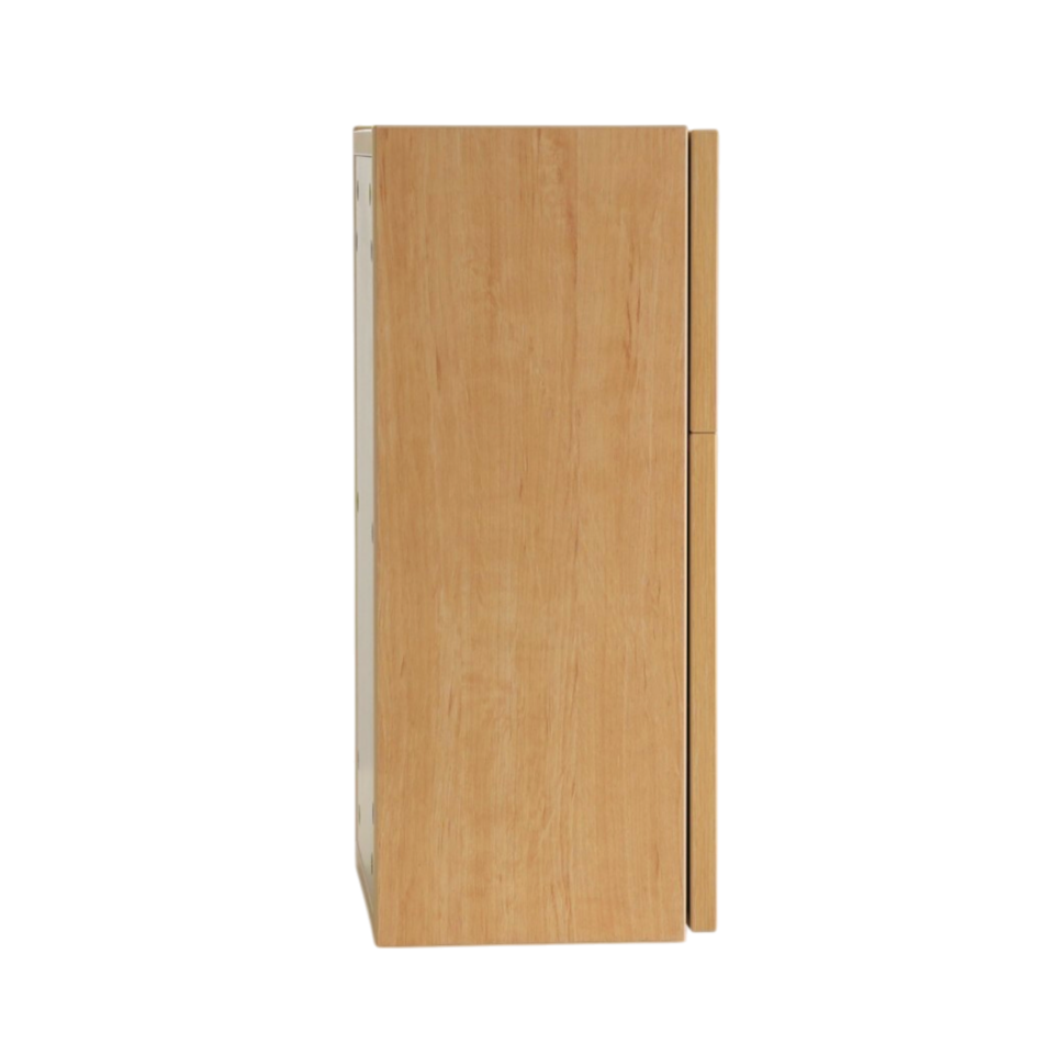 Guardian Medicine Cabinet
