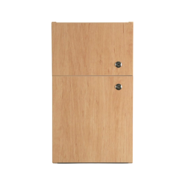 Guardian Medicine Cabinet